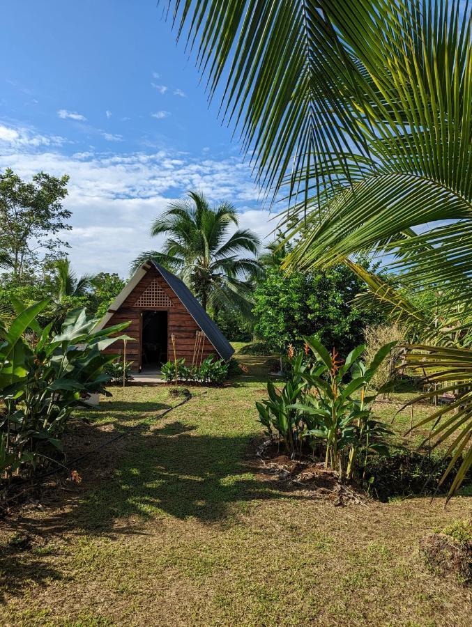 Bewak Cr Hotel Tortuguero Exterior photo