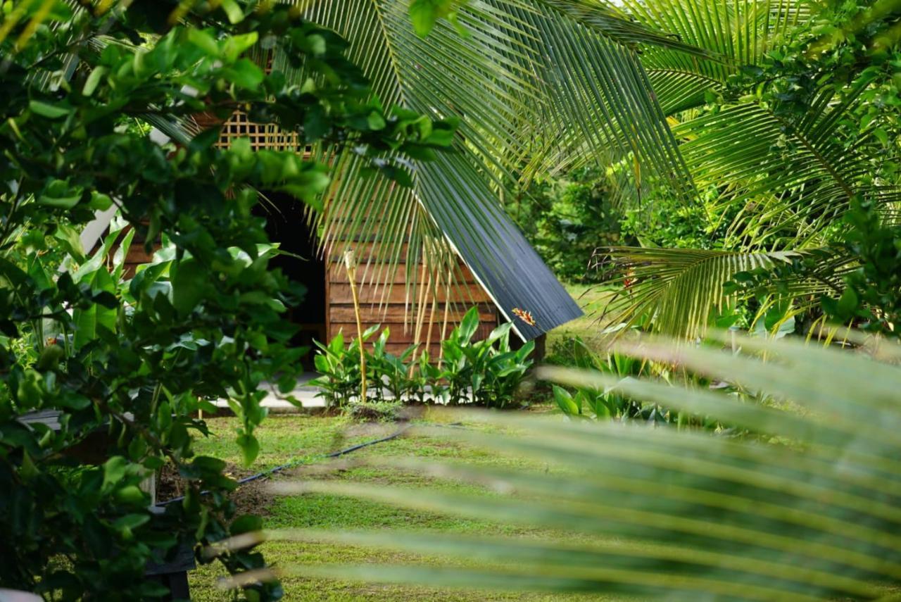 Bewak Cr Hotel Tortuguero Exterior photo