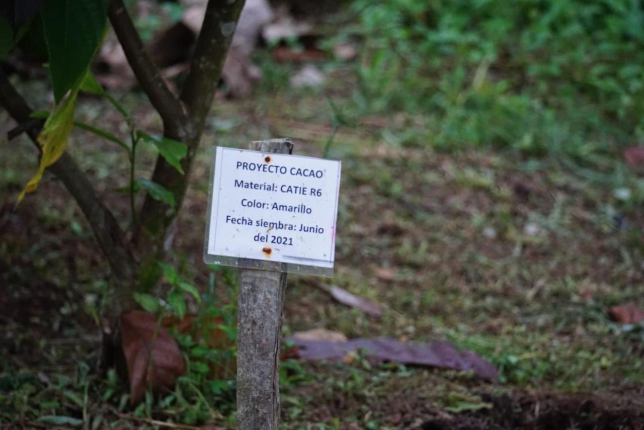 Bewak Cr Hotel Tortuguero Exterior photo