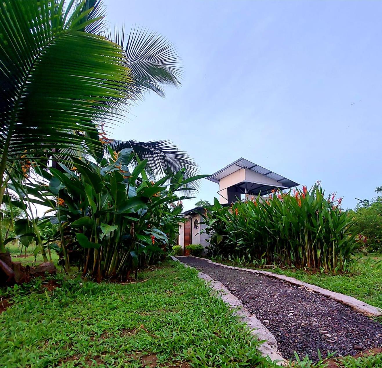 Bewak Cr Hotel Tortuguero Exterior photo